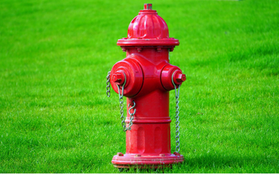 image for Pet Fire Safety Day